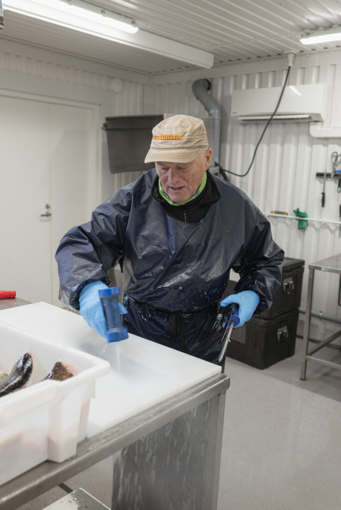 Jarmo Palojärvi käsittelee tuoretta kalaa Kemijärvellä