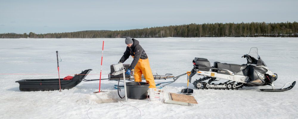 Tuore hauki pyydetty talvikalassa Kemijärvellä