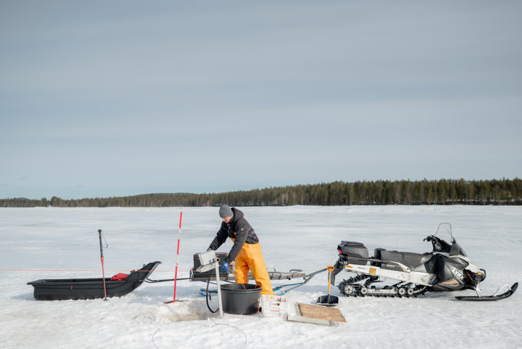 Tuore hauki pyydetty talvikalassa Kemijärvellä