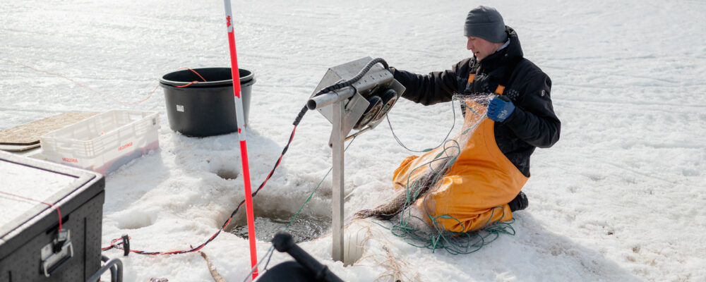 Haukipyynnissä sergei rakel kemijärvellä - ammattikalastajat