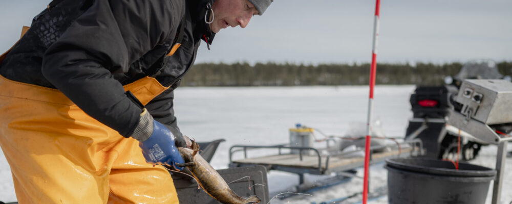 Sergei Rakel talviverkoilla