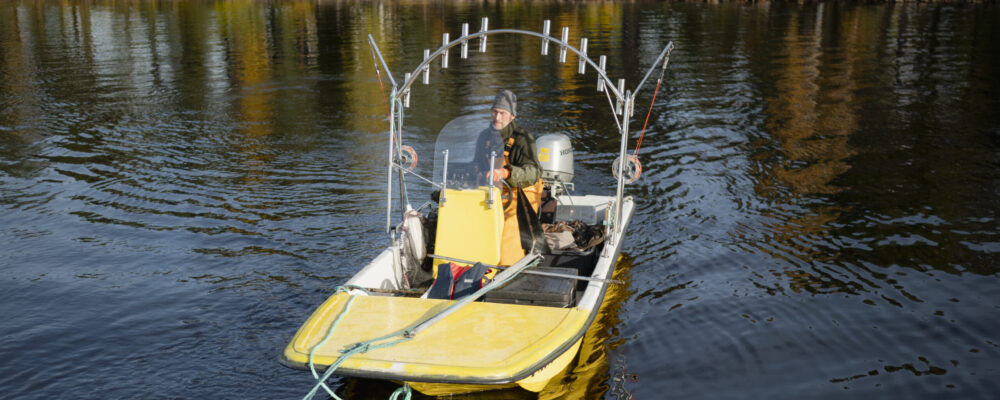 kemijärven kala - ammattikalastajat