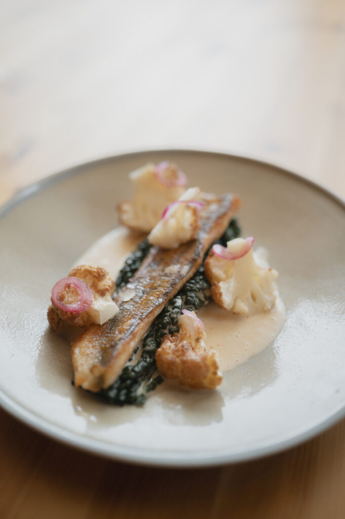 tuore annoskuva kemijärven kala