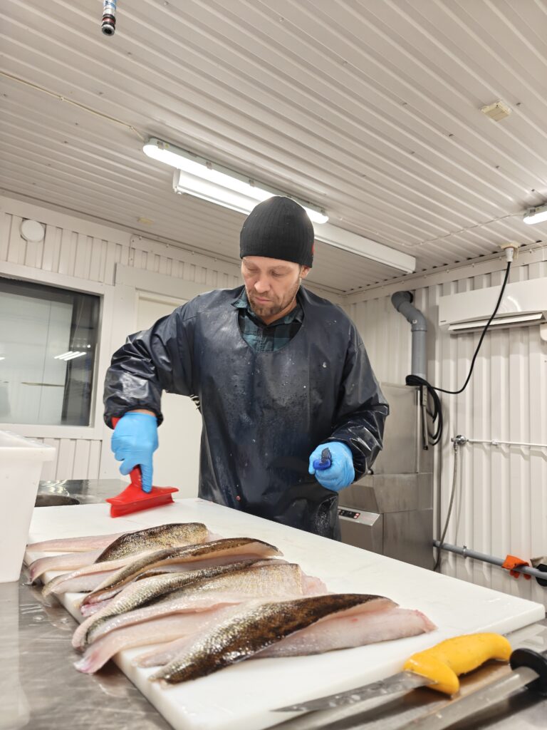 kalahalli kemijärvi